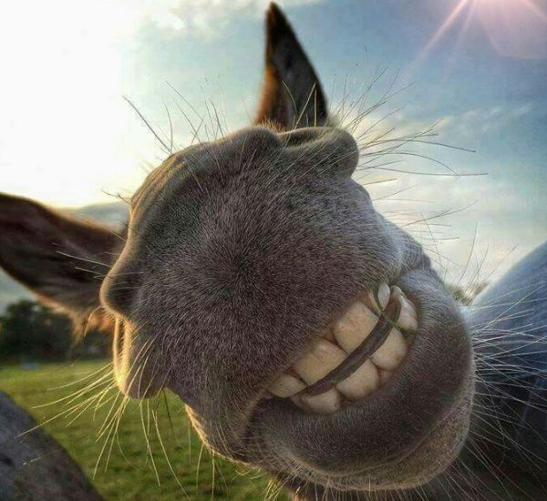Ridere - La Porta della Luce Ridere (pensieri positivi,aura,gioia,positività) La Porta della Luce