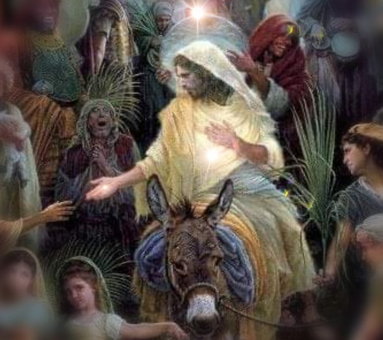 Insegnamenti di Gesù: la vedova Tsipporah (Gesù,anima,miracolo,vedova,morte) La Porta della Luce