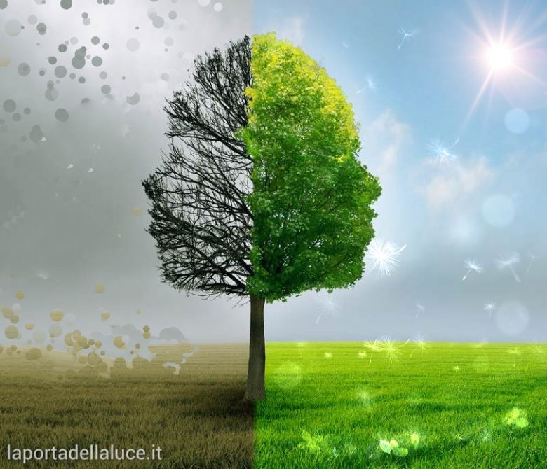 Terapie Innaturali - Channeling (terapie innaturali,luce,anima,spirito,angeli,channeling,canalizzazione) La Porta della Luce