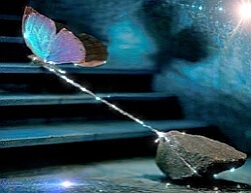 Il senso di colpa - Channeling (senso di colpa,egoismo,coscienza,angeli,channeling,canalizzazione) La Porta della Luce