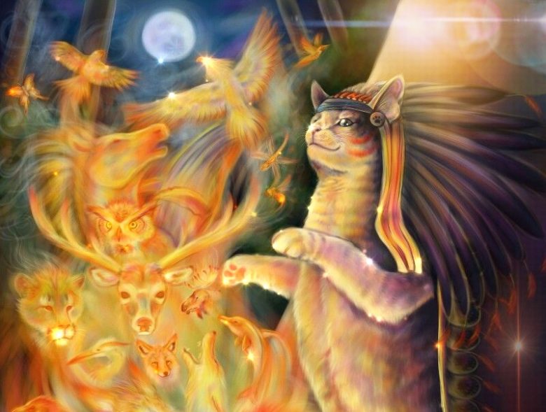 Gli Animali - Channeling (luce,spirito,animali,anima,channeling) La Porta della Luce