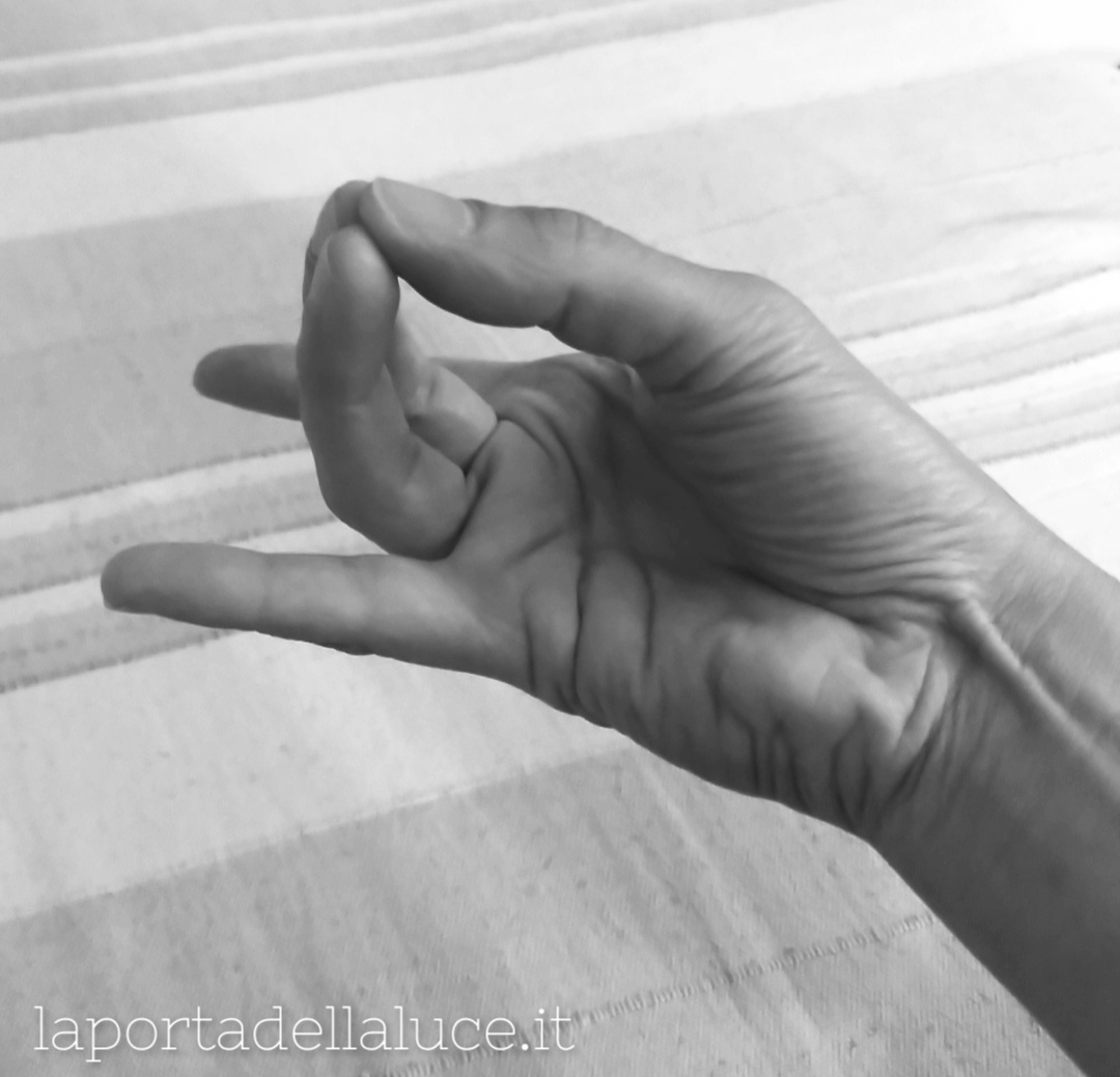 Il Mudra dell'Energia - La Porta della Luce Il Mudra dell'Energia (mudra dell'energia,apan-mudra,yoga,mudra,energia) La Porta della Luce