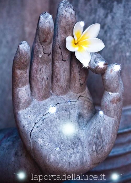 Il Mudra per il Cuore e l'Amore (mudra per il cuore,mudra,cuore,chakra del cuore,apan vayu mudra) La Porta della Luce