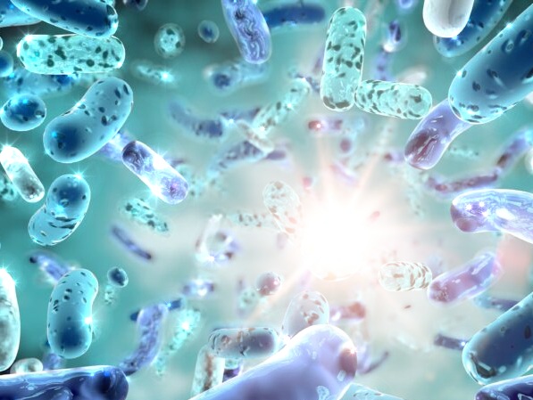 Virus, batteri e il loro ruolo nella Creazione - prima e dopo l'intervento dell'uomo - Channeling (virus,batteri,cellule,energia,creazione,angeli,channeling,canalizzazione) La Porta della Luce