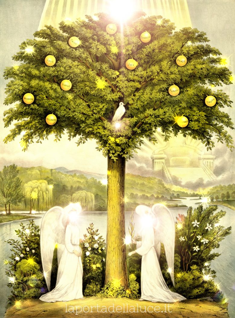 Guarire l'Albero Genealogico: La paura del Successo (albero genealogico,guarigione,paura,successo,coraggio,preghiera) La Porta della Luce