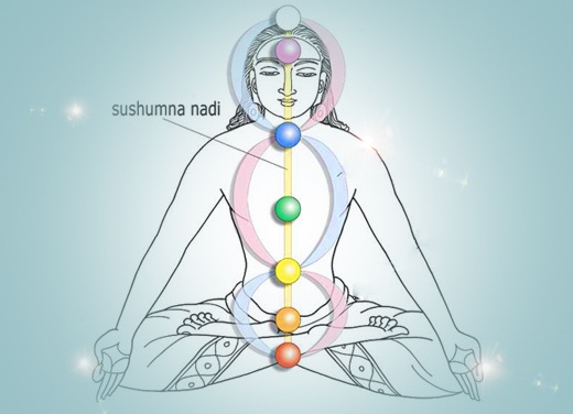 Meditazione: un viaggio di guarigione attraverso i Chakra (audio-meditazione guidata) - La Porta della Luce Meditazione: un viaggio di guarigione attraverso i Chakra (audio-meditazione guidata) (chakra,meditazione,sushumna,guarigione,aura,audio,guidata) La Porta della Luce