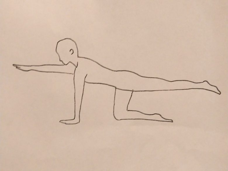 Equilibrare prana e apana - 9 esercizi essenziali (esercizi,prana,colonna vertebrale,articolazioni) La Porta della Luce