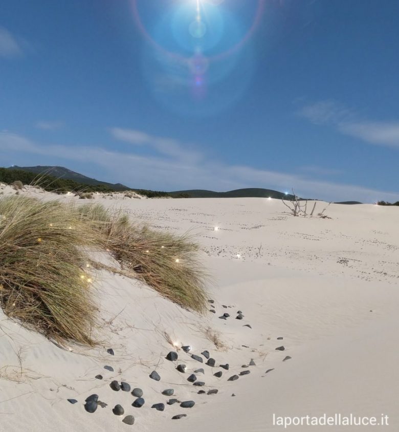 Lasciarsi abbracciare dalla Vita - Channeling (lasciarsi abbracciare,vita,dono della vita,compassione,madre,angeli,channeling,canalizzazione) La Porta della Luce