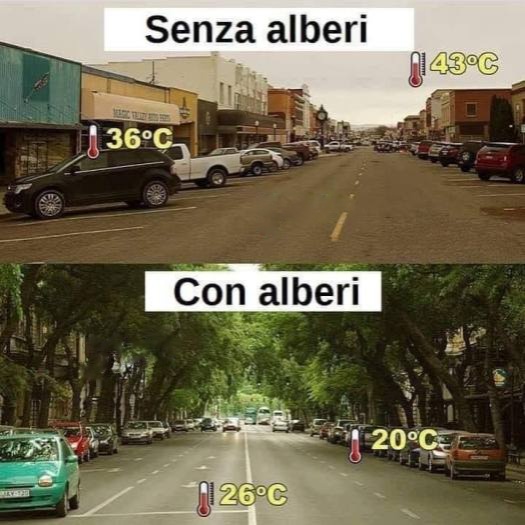 Siccità e calore in questo tempo - Channeling - La Porta della Luce Siccità e calore in questo tempo - Channeling (siccità,calore,inquinamento,clima,channeling,angeli,canalizzazione) La Porta della Luce