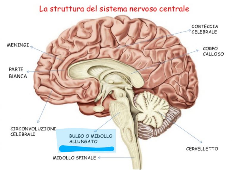Lunedì - Flusso Divino e sensibilità ricettiva - La Porta della Luce Lunedì - Flusso Divino e sensibilità ricettiva (Lunedì,sensibilità,luna,yoga) La Porta della Luce