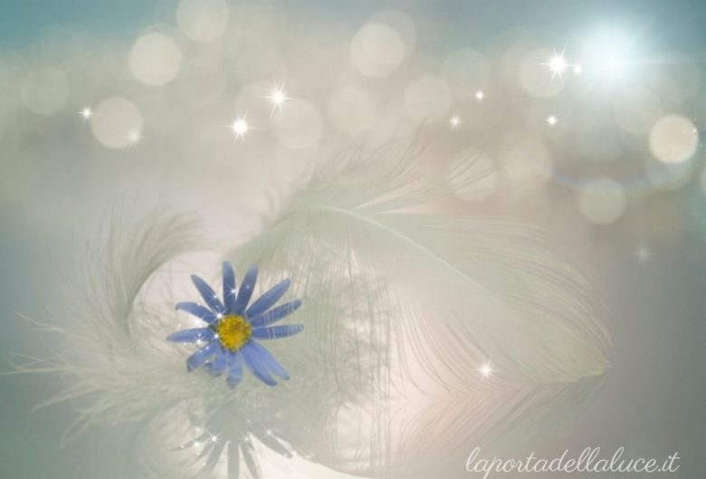 I sentimenti e le ferite - Channeling (sentimenti,emozioni,profondità,risvegliare,channeling,angeli,canalizzazione) La Porta della Luce