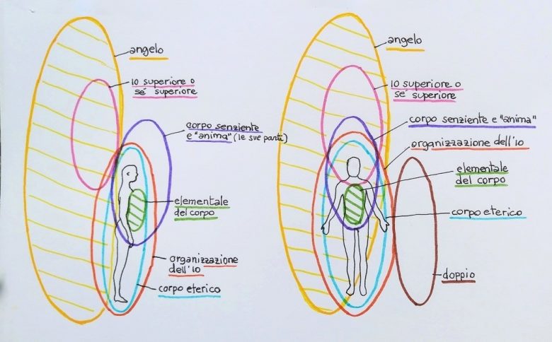 Gli arti costitutivi dell'uomo - l'Anima, l'Angelo e altri elementi - La Porta della Luce Gli arti costitutivi dell'uomo - l'Anima, l'Angelo e altri elementi (anima,angelo,spirito,corpo,corpo astrale) La Porta della Luce