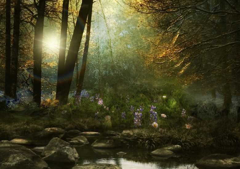 Gli Esseri luminosi della Natura (esseri,natura,luce,spiriti,elementali) La Porta della Luce