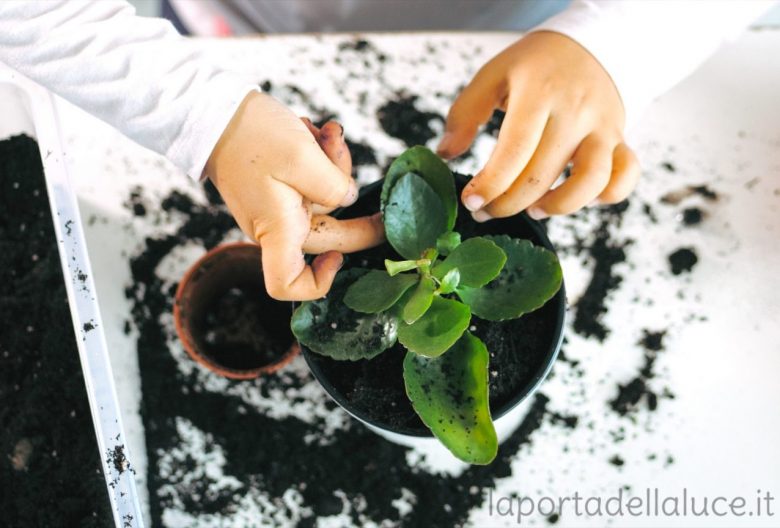 Preservate i giovani e i bambini - Channeling (bambini,evoluzione,creatività,risveglio,angeli,channeling,canalizzazione) La Porta della Luce
