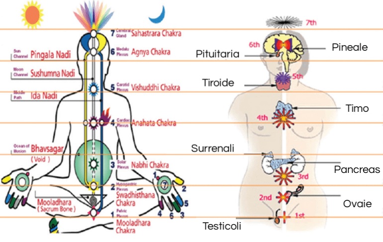Meditazione per guarire: ghiandole e sistema ormonale (audio-meditazione guidata) - La Porta della Luce Meditazione per guarire: ghiandole e sistema ormonale (audio-meditazione guidata) (ghiandole,ipofisi,sistema ormonale,guarire,energia) La Porta della Luce
