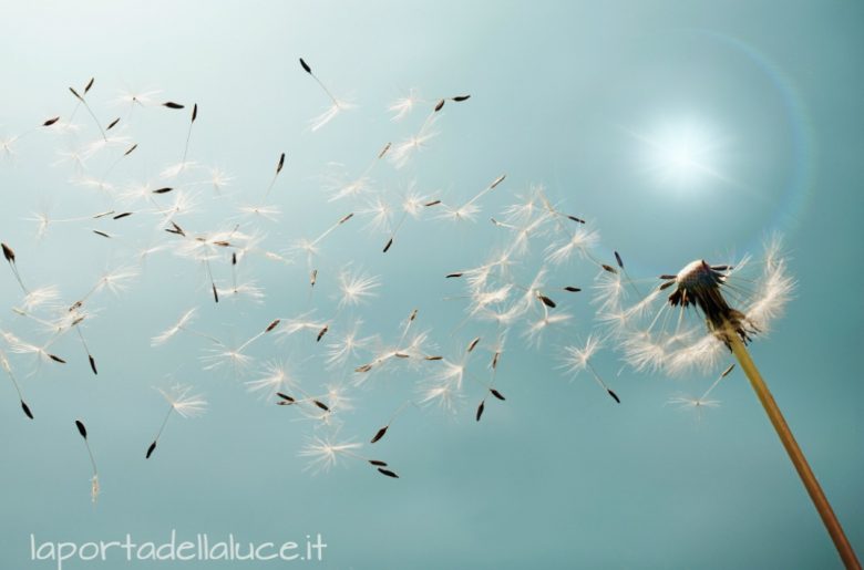 Lamentarsi - negare il presente (lamentarsi,presente,adesso,stress,pensieri) La Porta della Luce
