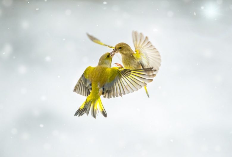 Il coraggio di vivere - Channeling (coraggio,vivere,channeling,angeli,canalizzazione) La Porta della Luce