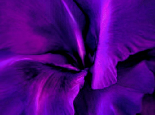 Meditazione per la pulizia dell'aura (audio-meditazione guidata) - La Porta della Luce Meditazione per la pulizia dell'aura (audio-meditazione guidata) (aura,pulizia,colori,arcangelo,gesù,meditazione,Michele,guidata,audio) La Porta della Luce