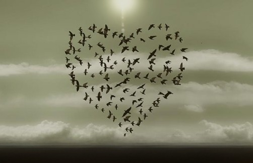 Relazioni equilibrate - Channeling (relazioni,anima,coscienza,equilibrate,channeling,angeli,canalizzazione) La Porta della Luce