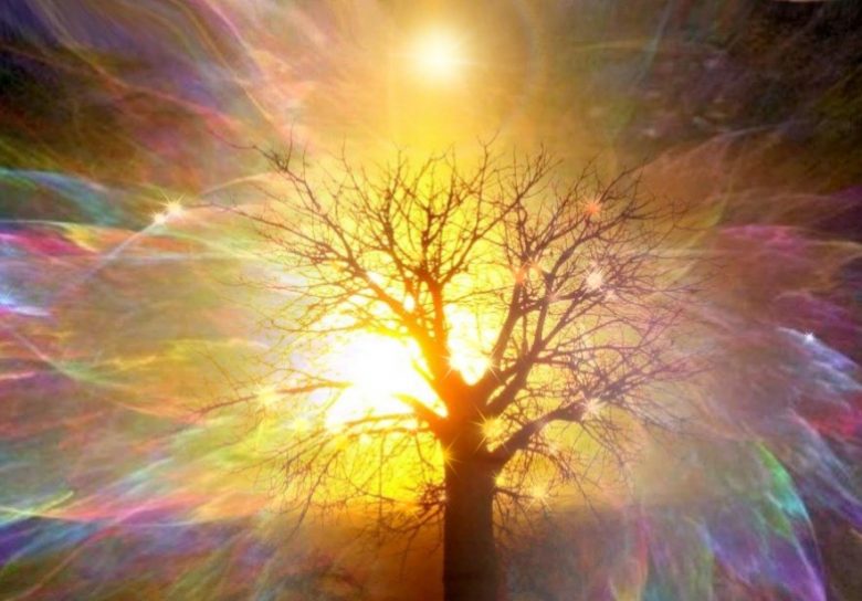 Aprire il Cuore per trasformare il mondo - esercizio (cuore,amore,esercizio,anima,terra) La Porta della Luce