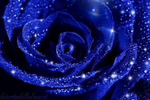 Meditazione per ricevere la Luce Blu delle Pleiadi: amore e guarigione (audio-meditazione guidata) - La Porta della Luce Meditazione per ricevere la Luce Blu delle Pleiadi: amore e guarigione (audio-meditazione guidata) (pleiadi,meditazione,guarigione,chakra,alcyone,audio,guidata,luce blu,energia di guarigione) La Porta della Luce