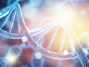 Meditazione per l'Attivazione dei Chakra e del DNA (audio-meditazione guidata) - La Porta della Luce Meditazione per l'Attivazione dei Chakra e del DNA (audio-meditazione guidata) (dna,chakra,meditazione,attivazione,risveglio,era dell'acquario,attivare,risvegliare,prana,divino,audio,guidata) La Porta della Luce
