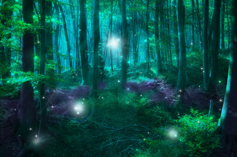 Conoscere meglio gli Esseri Elementari della Natura (esseri elementari) La Porta della Luce