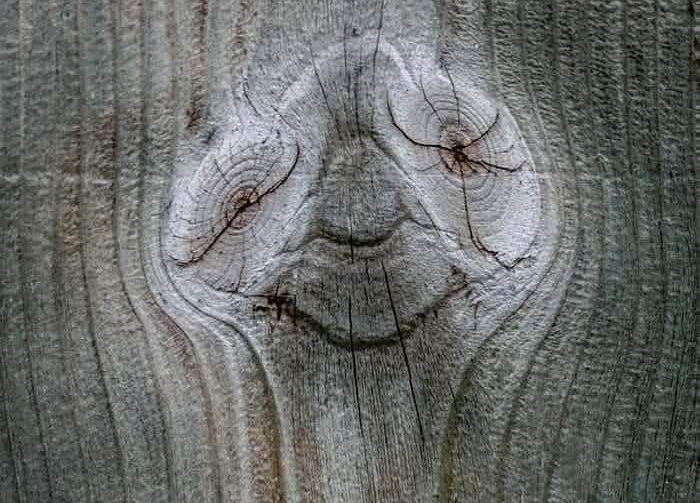 Comunicare con gli Esseri Elementari (elementari,comunicare,fauno,natura,forme) La Porta della Luce