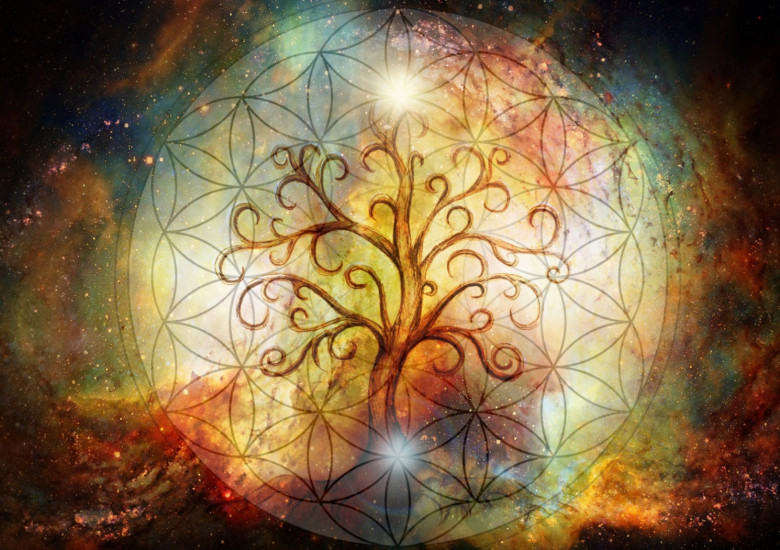 Le Forze Cosmiche per raggiungere la realizzazione - 1a parte (forze cosmiche,amore,luce,libertà,guarigione,consapevolezza) La Porta della Luce