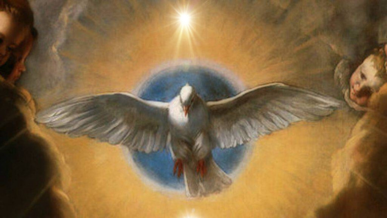 Ego e Presenza - volete la pace o il dramma? (ego,pace,presenza,adesso,presente,mente) La Porta della Luce
