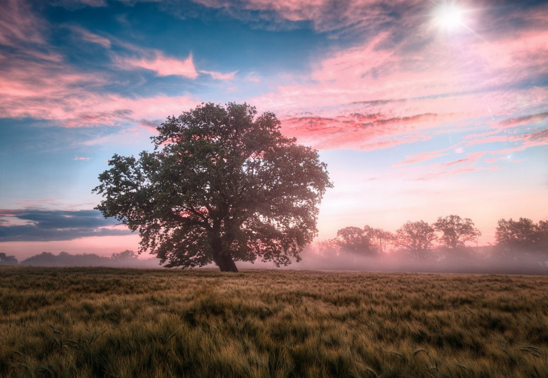 La soddisfazione non giunge dall'esterno - Channeling (soddisfazione,appagamento,apprezzare,presenza,amore,angeli,channeling,canalizzazione) La Porta della Luce