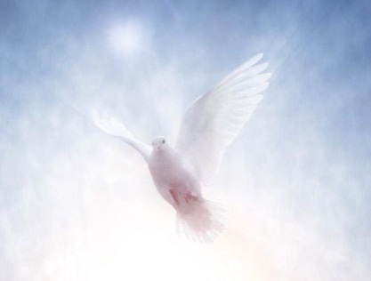 Corpo, Anima, Spirito - autocoscienza (spirito,anima,frequenza,autocoscienza,potere) La Porta della Luce