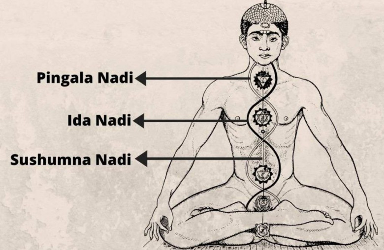 Nadi e Chakra secondari (Nadi,chakra,prana,massaggio,energetico) La Porta della Luce
