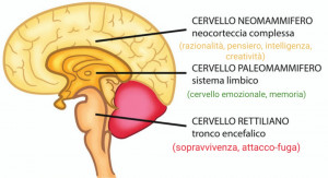 La storia della Terra - i "buoni" e i "cattivi" (1a parte) (terra,anunnaki,rettiliani,lemuria,atlantide,ciakarrh) La Porta della Luce