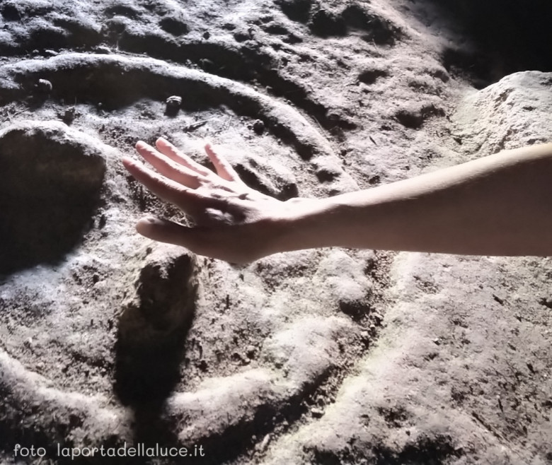 Il Passaggio dimensionale della Terra - la Missione dei Semi delle Stelle (le 3 vie) (missione,semi delle stelle,terra,passaggio,dimensione,stelle,guerriero di luce,luce) La Porta della Luce
