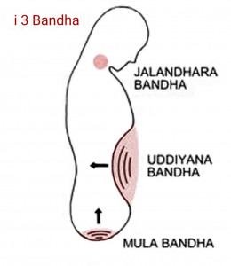 Nadi Shodhana - pratica di connessione al Sé Superiore - La Porta della Luce Nadi Shodhana - pratica di connessione al Sé Superiore (nadi shodhana,ujjayi,pranayama,respirazione,mudra,bandha) La Porta della Luce