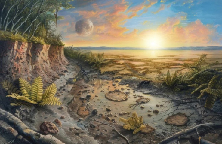 La Gerarchia del Divino: i 4 Regni - schema dell'evoluzione (evoluzione,regni,gerarchia,animali,minerali,angelico,divino) La Porta della Luce