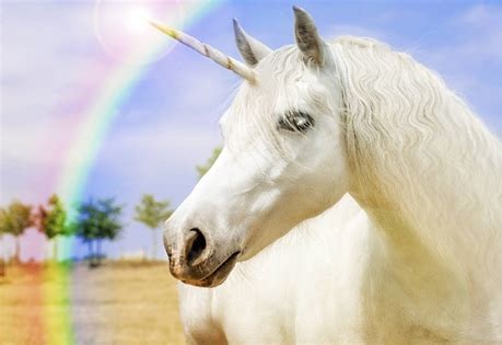 Gli animali e la connessione con i Regni della Natura (animali,regni,natura,unicorni,popoli,eterico) La Porta della Luce