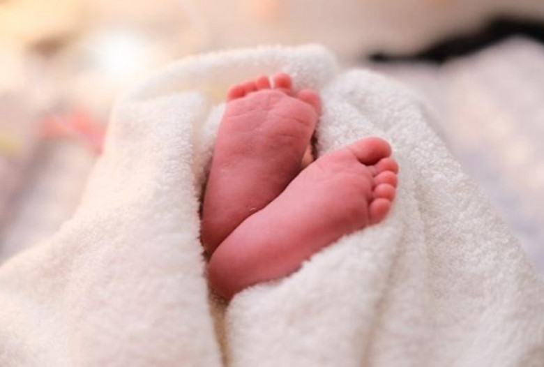Placenta e Vita - non tagliate il cordone ombelicale (placenta,cordone ombelicale,parto in casa,neonati,mamme,figlio) La Porta della Luce
