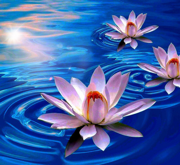 Respirazione per espandere il Cuore e sviluppare l'Amorevole Gentilezza - Mudra - La Porta della Luce Respirazione per espandere il Cuore e sviluppare l'Amorevole Gentilezza - Mudra (respirazione,profonda,prana,aria,polmoni) La Porta della Luce