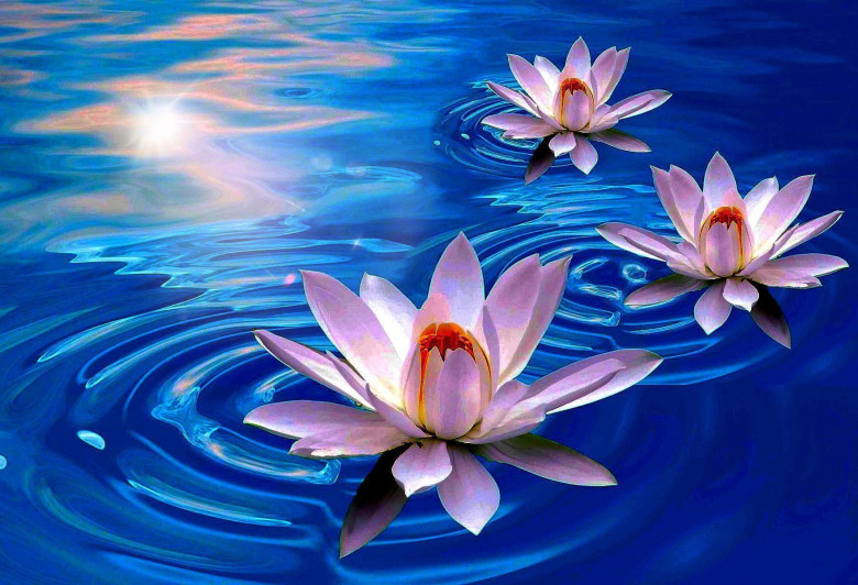 Respirazione per espandere il Cuore e sviluppare l'Amorevole Gentilezza - Mudra (respirazione,mudra,cuore,gentilezza,aura,bandhu dya kriya,pratica,prana) La Porta della Luce