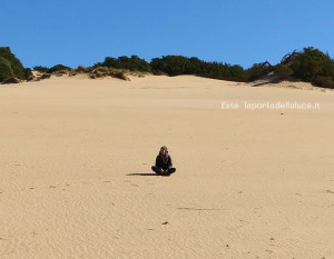 Meditazione per trovare il proprio posto sulla Terra: equilibrio e guarigione (audio-meditazione guidata) (meditazione,equilibrio,direzioni,ruota di medicina,meditazione guidata,audio,guidata,guarigione,terra,energetico) La Porta della Luce