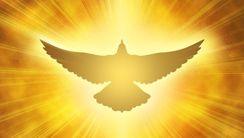 meditazione attivare ottavo chakra colomba