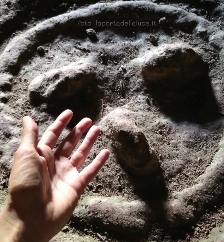 Donare Amore e ricevere Benedizioni (amore,benedizioni,mani,sguardo,salutare,ricchezza,natura,coscienza) La Porta della Luce