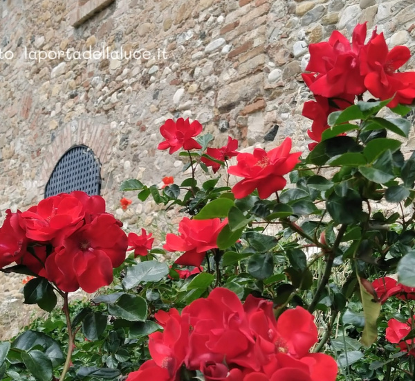 Pienezza, ricchezza, abbondanza - Channeling (fidatevi,vita,vittime,vivere,coraggio,coscienza,gioia,Canalizzazione,Channeling,Angeli) La Porta della Luce
