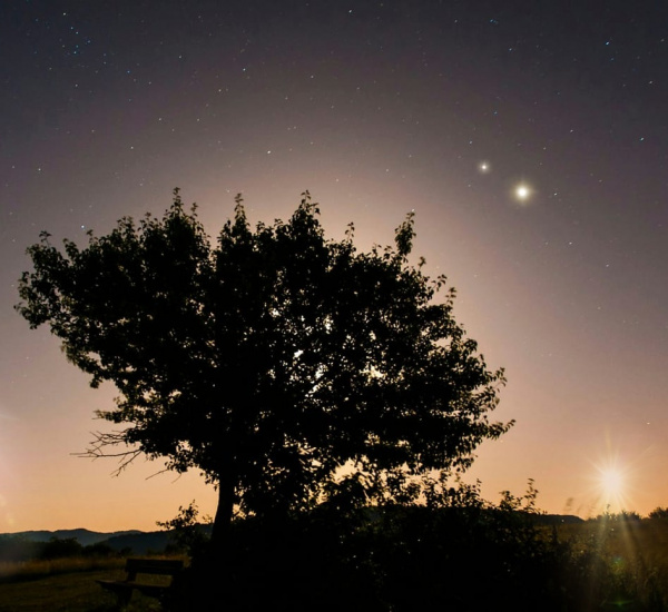 Gli Elohim, le Stelle, le nostre Origini e l'Immensità che ci abita - La Porta della Luce Gli Elohim, le Stelle, le nostre Origini e l'Immensità che ci abita (angeli,serafini,arcangeli,cielo,energia) La Porta della Luce