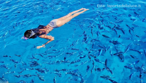 Lemuria e la frequenza del Raggio Acqua-Opalescente (1a parte) - La Porta della Luce Lemuria e la frequenza del Raggio Acqua-Opalescente (1a parte) (lemuria,lignaggio,sirio,pleiadi,raggio opalescente,lignaggio rosa) La Porta della Luce